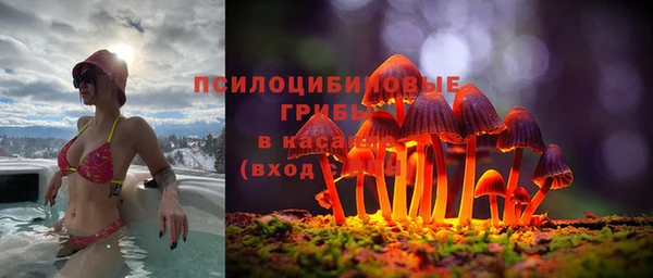 бутик Бородино
